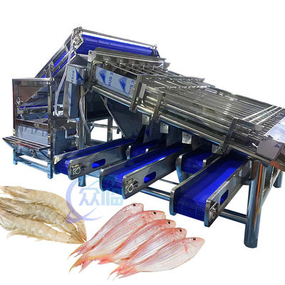 Máquina automática de clasificación de camarones 4.9KW estable para la clasificación de Vannamei