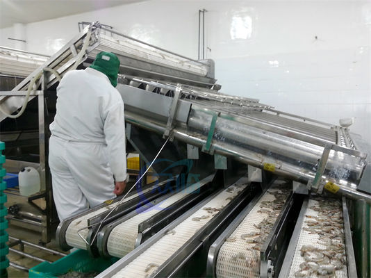 Stable Small Fish Grading Machine Multifunctional 6000x5200x2200mm