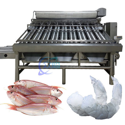 Stable Small Fish Grading Machine Multifunctional 6000x5200x2200mm