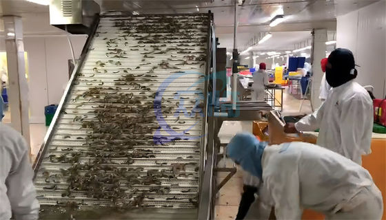 Seafood process equipment shrimp washing grading machine Automatic shrimp sorting machine for shrimp peeling