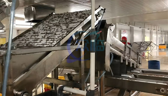Seafood process equipment shrimp washing grading machine Automatic shrimp sorting machine for shrimp peeling