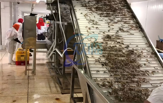 Seafood process equipment shrimp washing grading machine Automatic shrimp sorting machine for shrimp peeling
