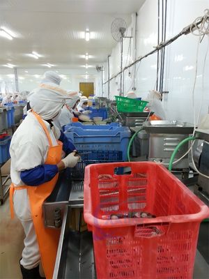 seafood processing plant Commercial Shrimp Processing Equipment Butterfly Shrimp Open Back and Take Shrimp Intestines