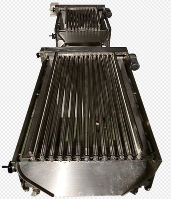 Can Customized Fish Classifying Machine For Small Fish Sizing Machine With Big Capacity
