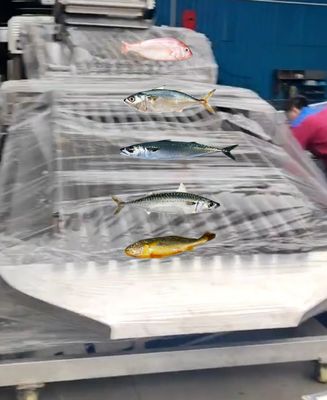 Capacity 5-10T/H Fish Automatic Sorting Machine, Sizing Small Fish And Grading Ocean