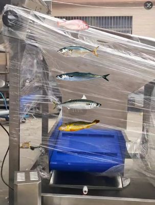 Can Customized Fish Classifying Machine For Small Fish Sizing Machine With Big Capacity