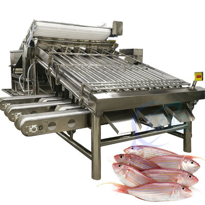 Buen precio Máquina de clasificación de peces de alta capacidad clasificadora de peces de rodillos de 4.9KW 2 T/H clasificadora de peces de mar línea de clasificación de peces Zolim Equipo de clasificación de peces en línea