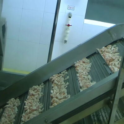 Buen precio Equipo automático de la planta de procesamiento de pescado en línea