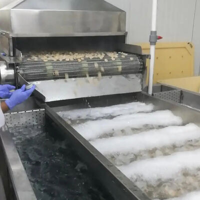 Buen precio Máquina de refrigeración de mariscos de 380V duradera Máquina de procesamiento de gambas Máquina de procesamiento de pescado Máquina de refrigeración de camarones en línea