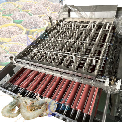 Buen precio 50Hz 3P Camarón Máquina de proyección automática de acero inoxidable estable en línea