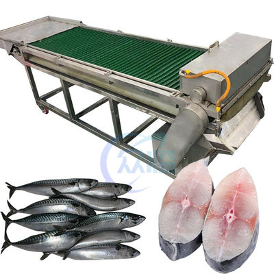 Buen precio Equipo de corte de pescado SUS304 de 1500W, máquina de corte de atún anticorrosión en línea