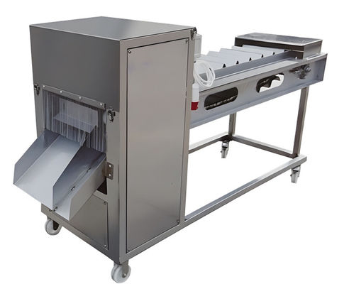 Buen precio SUS304 Máquina para cortar peces industriales 380V 60-90 piezas/min en línea