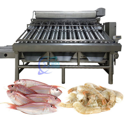 Buen precio Equipo duradero de clasificación de peces de 380V, máquina de clasificación de pescado anti-erosión en línea