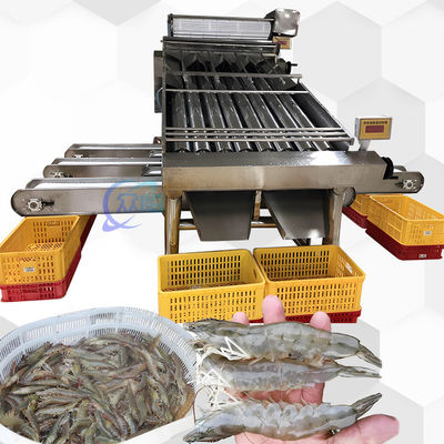 Máquina de clasificación de camarones 3P Multiscene Automática de múltiples funciones