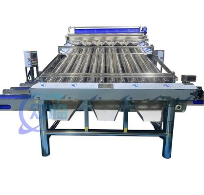 Buen precio 4900W SUS304 Máquina para clasificar las gambas, lavadora de camarones duradera en línea