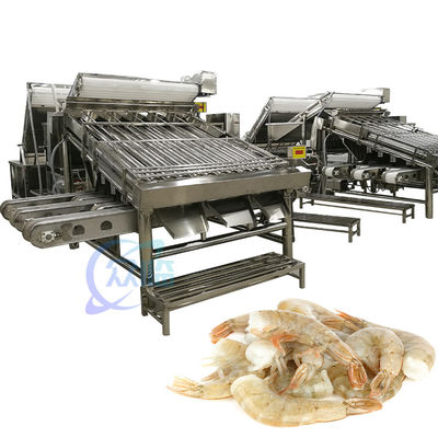 Máquina de clasificación de camarones industriales Anticorrosión