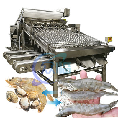 Máquina de clasificación de camarones de acero inoxidable Práctica 6000x4000x2200mm