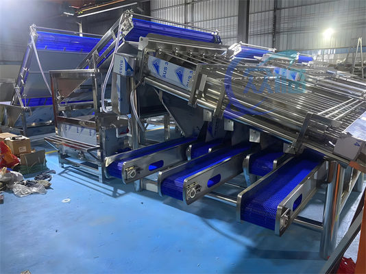Automatic Fish Grading Machine 4900W Multipurpose Anti Erode