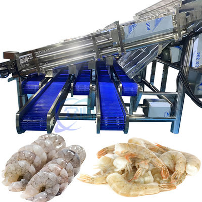 Equipo de clasificación de camarones de acero inoxidable estable contra la erosión