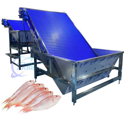 Máquina de clasificación de camarones anticorrosión Multiscene Práctico 4.9KW