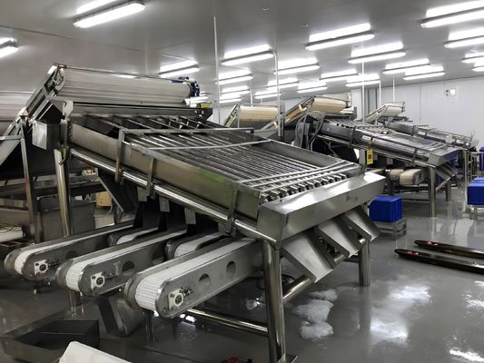 Buen precio Máquina de clasificación de camarones duradera 3P, equipo de clasificación de camarones anti-erosión en línea