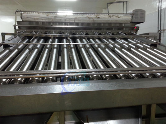 Stable Small Fish Grading Machine Multifunctional 6000x5200x2200mm
