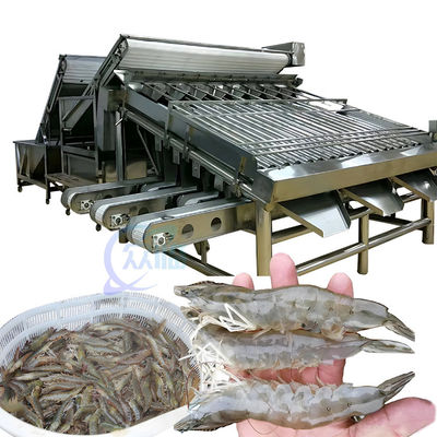 Buen precio Máquina de clasificación de camarón de pescado de 1500 kg para usos industriales en línea