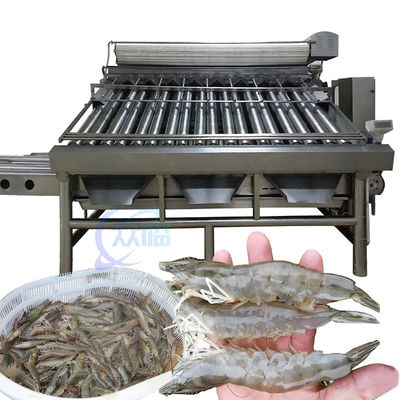 Buen precio Máquina de clasificación de camarones anti-erosión a prueba de aceite estable 1500 kg de peso en línea