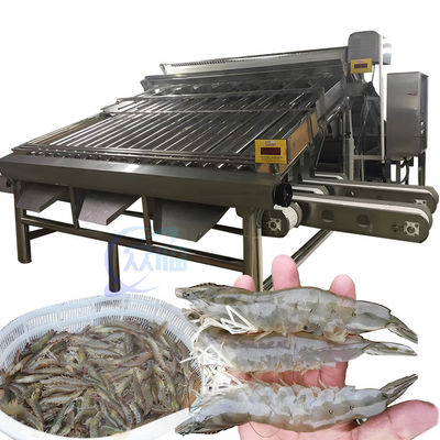 Buen precio SUS304 Máquina práctica para clasificar camarones, clasificadora de camarones anticorrosión en línea