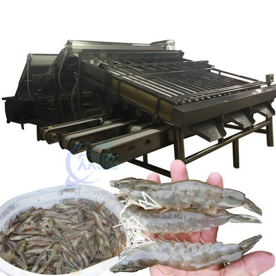 Buen precio Máquina de clasificación de camarones multifunción de acero inoxidable duradero en línea