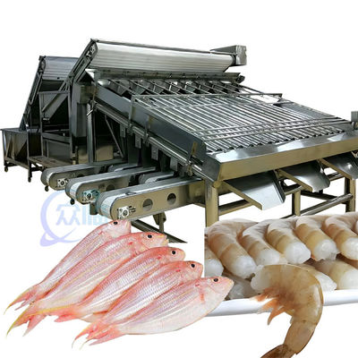 Buen precio Máquina de clasificación de mariscos ISO 1500KG, clasificador de tamaño de pescado multifuncional en línea