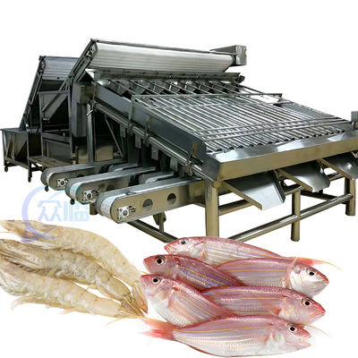 Buen precio 4.9KW Máquina práctica para clasificar el pescado, Equipo automático para clasificar el pescado en línea