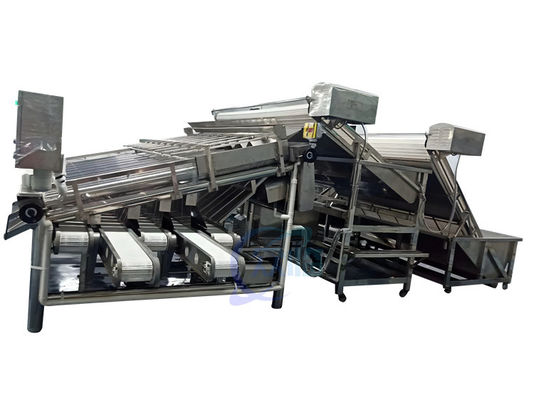 Buen precio 4900W Máquina de clasificación de camarones Control de rodillos Anti-erosión automática en línea