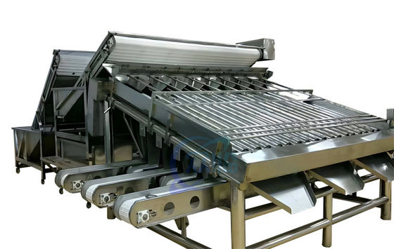 Máquina de clasificación de camarones de rodillo Material de acero inoxidable polivalente