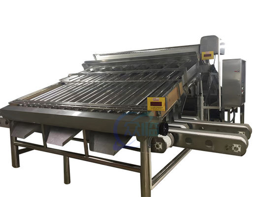Máquina de clasificación de camarón de 4.9KW para el tamaño de las gambas