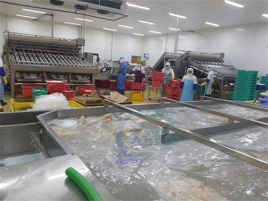 Buen precio ISO Industrial Automática de Procesamiento de Pescado, Plantas de Procesamiento de Productos del Mar Multifuntcionales en línea