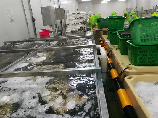 Buen precio SUS304 Máquina de procesamiento de pescado estable impermeable para la limpieza de gambas en línea