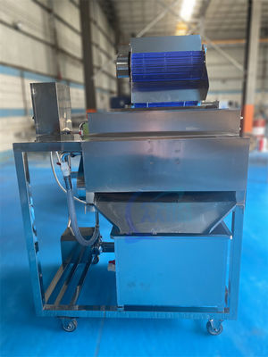 Buen precio Equipo de la planta de procesamiento de pescado estable de 1500W, separador de bigotes de camarón industrial en línea