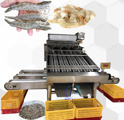 Buen precio Equipo práctico para la clasificación de camarones multiscene anticorrosor en línea