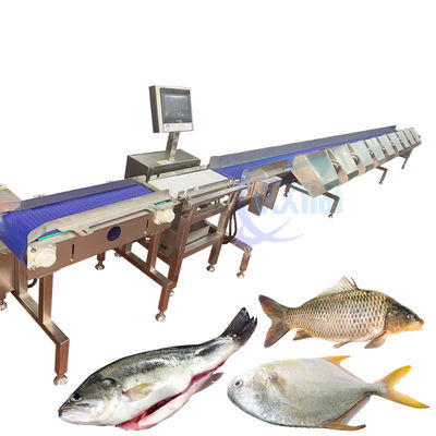 Buen precio Máquina de clasificación del peso del pescado totalmente automática transportador de alimentos balanza de pesas en línea