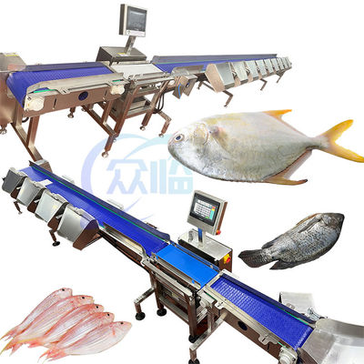 Buen precio SUS304 Máquina para clasificar el peso de los peces Tipo de palanca 261 unidades/min en línea