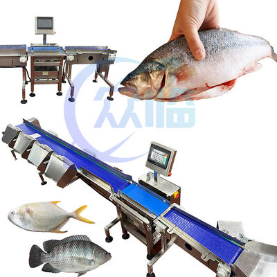 Máquina de pesaje de peces para el comercio con un solo rango de pesaje 1g-3g clasificación de Pangasius