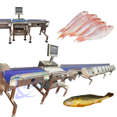 Buen precio Máquina de clasificación de peces vivos de alta precisión Equipo de clasificación de peces vivos Tilapia Tamaño en línea