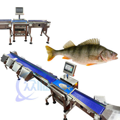 Buen precio 121pcs/min clasificador de peso de pescado pescador y máquina de clasificación para el medio acuático en línea