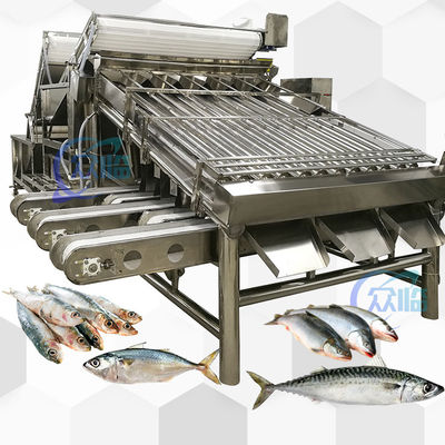 Buen precio Máquina de clasificación de peces para peces pequeños y equipos de clasificación de peces Sistema de clasificación en línea