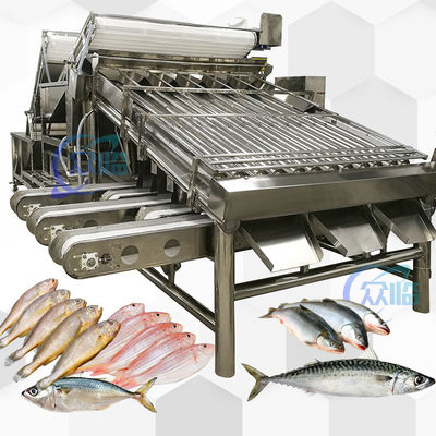 Buen precio Acero inoxidable 304 amarillo Grader 12pcs Grader de sardinas de rodillo de caballa en línea