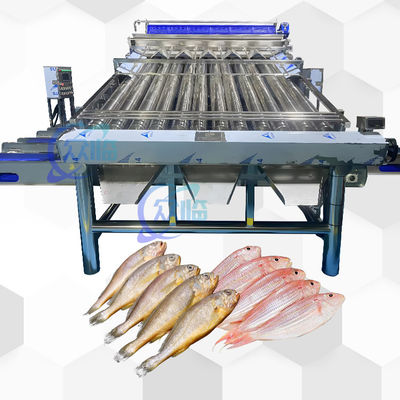 Buen precio Máquina automática de clasificación de peces con 12 rodillos clasificador automático de peces para 4-5 tamaños en línea