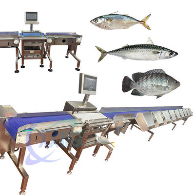 Buen precio China Especialidad clasificador de pescado de mermelada clasificador de pescado de mermelada clasificador de pescado de mermelada clasificador de pescado de mermelada en línea