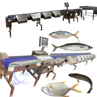 El precio es muy bueno, el clasificador de tilapia, el clasificador de tilapia, el clasificador de tilapia, el clasificador de tilapia, el clasificador de tilapia.