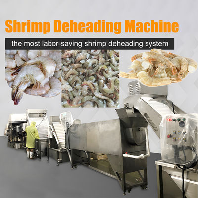 Buen precio Máquina inteligente de eliminación de cabeza de camarón para la fabricación de procesamiento de mariscos Máquina de corte de cabeza de camarón eficiente en línea